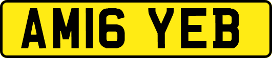 AM16YEB