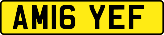 AM16YEF