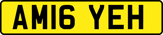AM16YEH