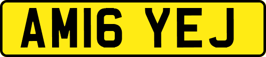 AM16YEJ