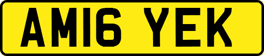 AM16YEK