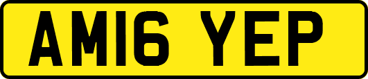 AM16YEP