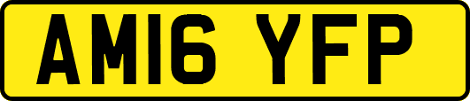 AM16YFP