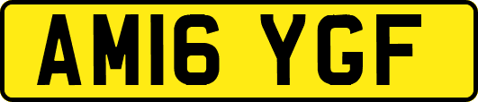 AM16YGF