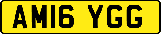 AM16YGG