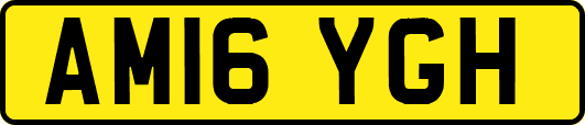 AM16YGH