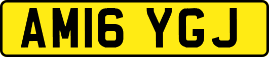 AM16YGJ