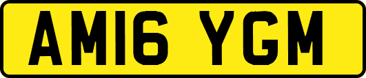 AM16YGM