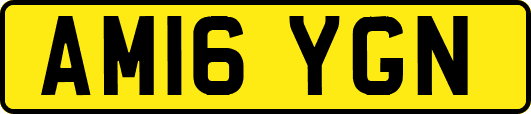AM16YGN