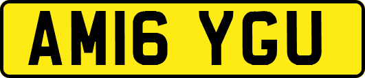 AM16YGU
