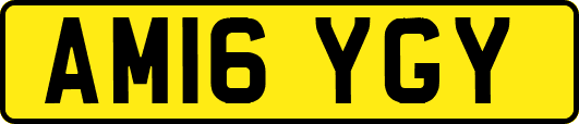 AM16YGY