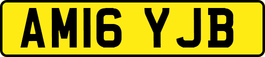 AM16YJB