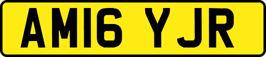 AM16YJR