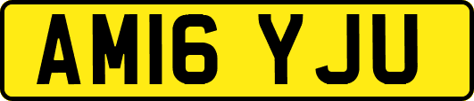 AM16YJU