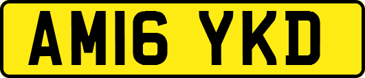 AM16YKD