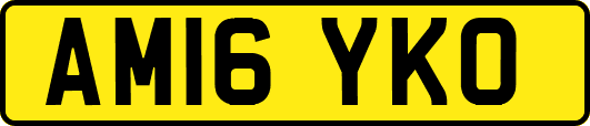 AM16YKO