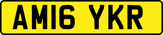 AM16YKR