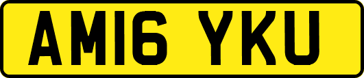AM16YKU