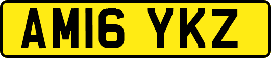 AM16YKZ
