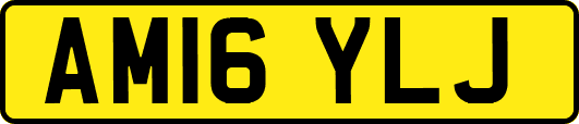 AM16YLJ