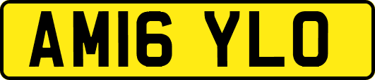 AM16YLO