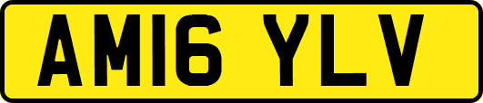 AM16YLV