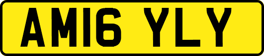AM16YLY