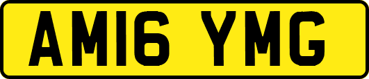 AM16YMG