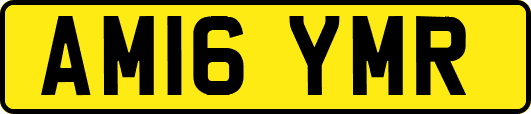 AM16YMR