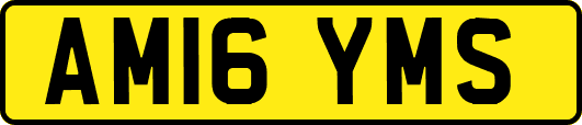 AM16YMS