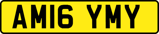 AM16YMY