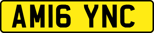 AM16YNC