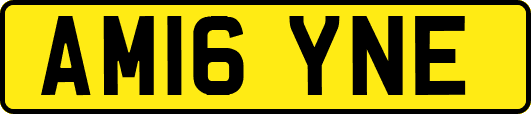 AM16YNE