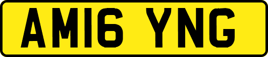AM16YNG