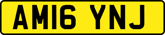 AM16YNJ
