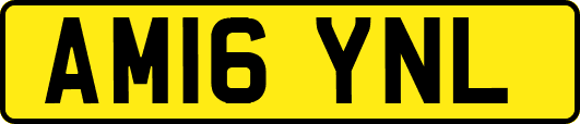 AM16YNL