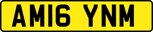 AM16YNM