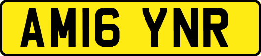 AM16YNR