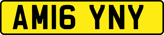 AM16YNY