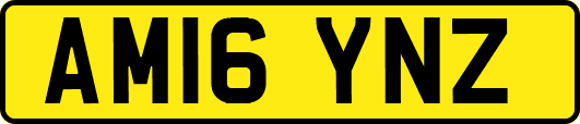 AM16YNZ