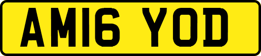 AM16YOD