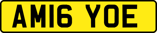 AM16YOE