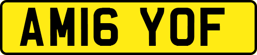 AM16YOF