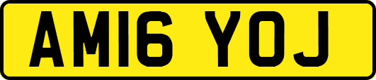 AM16YOJ