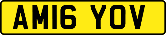 AM16YOV