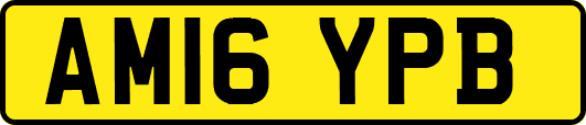 AM16YPB