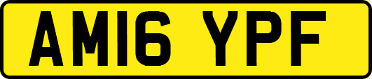 AM16YPF