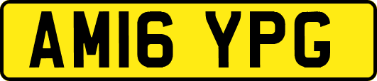 AM16YPG
