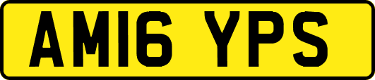 AM16YPS