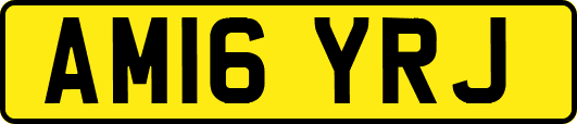 AM16YRJ